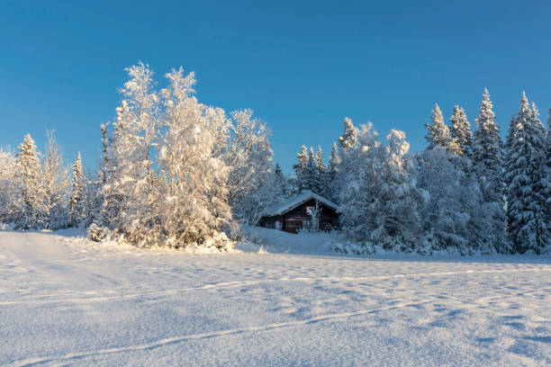 istock Cabin in forest in winter 1218748386
