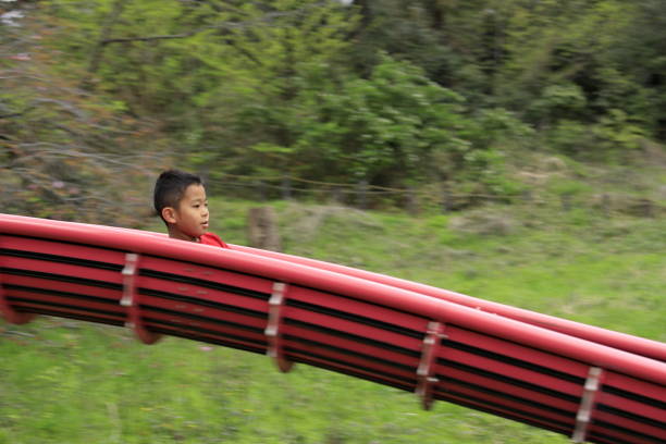 Nature playing wooden bridge in a serene countryside playground Northern Ireland
