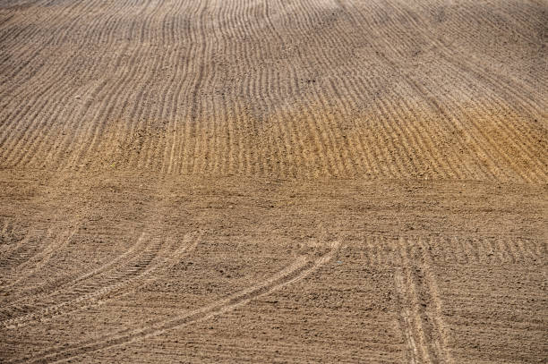 istock Agriculture field prepared for new season 1218754207