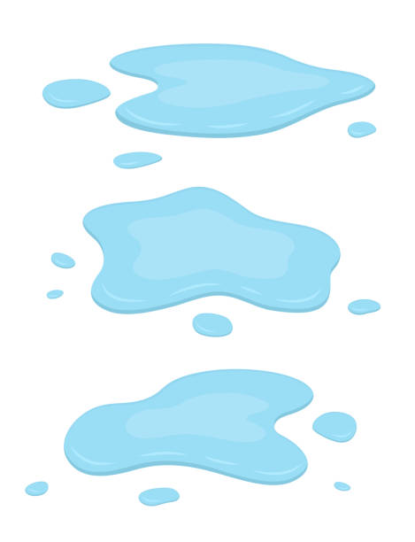 Water Puddles Isolated On White Background Stock Illustration - Download  Image Now - Puddle, Water, Splashing - iStock