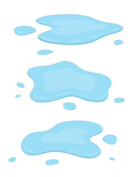 Water puddles. Isolated on white background. Water puddles. Isolated on white background. Cartoon style vector Illustration. puddle stock illustrations