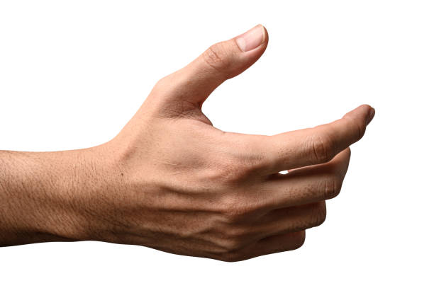 Hand Snappy Apple - Free photo on Pixabay