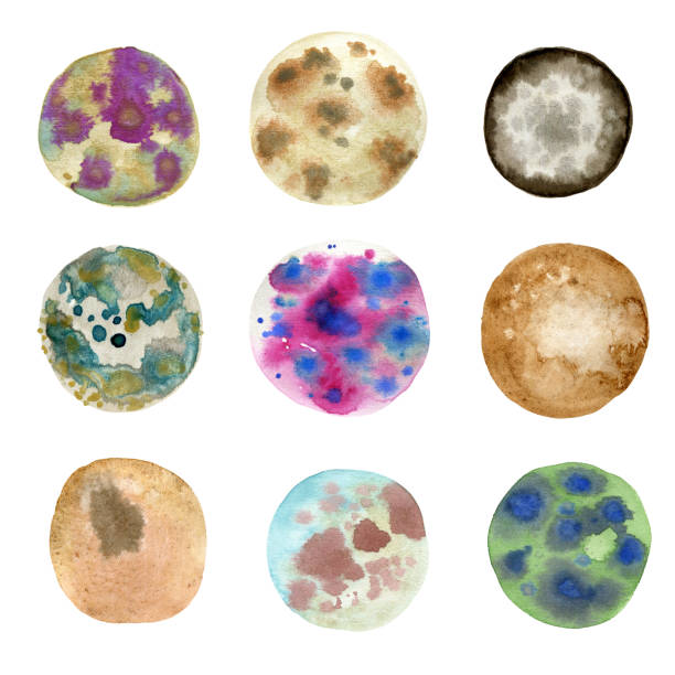 ilustraciones, imágenes clip art, dibujos animados e iconos de stock de círculos con moho, plato de petri - petri dish bacterium virus laboratory