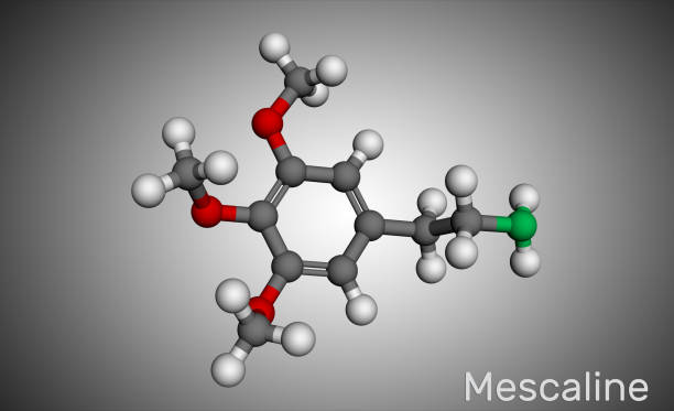 illustrazioni stock, clip art, cartoni animati e icone di tendenza di molecola di mescalina. è modello molecolare alcaloide allucinogeno, psichedelico, fenetilammina. - phenethylamine