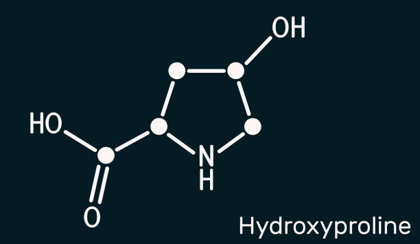 illustrazioni stock, clip art, cartoni animati e icone di tendenza di idrossiprolina, hyp, molecola c5h9no3. è un amminoacido proteinogenico comune e un componente importante del collagene proteico. formula chimica strutturale sullo sfondo blu scuro - h major