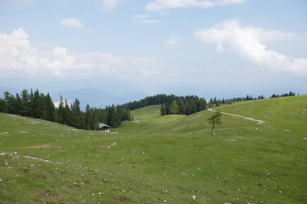 istock Dobratsch - Villacher Alpe, Carinthia, Austria 1218763014