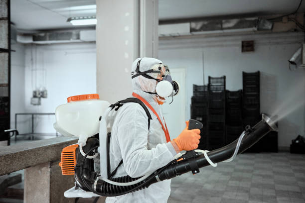 istock Corona virus Pandemic measures 1218763870