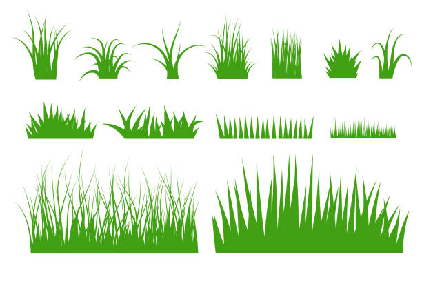 illustrazioni stock, clip art, cartoni animati e icone di tendenza di set di vettori in erba verde - grass