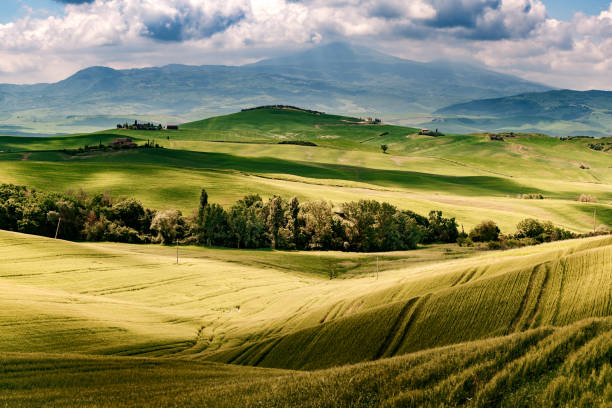 istock Sunny landscape from Val d'Orcia, Tuscany, Italy 1218768302
