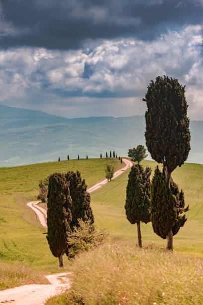 istock Sunny landscape from Val d'Orcia, Tuscany, Italy 1218768465