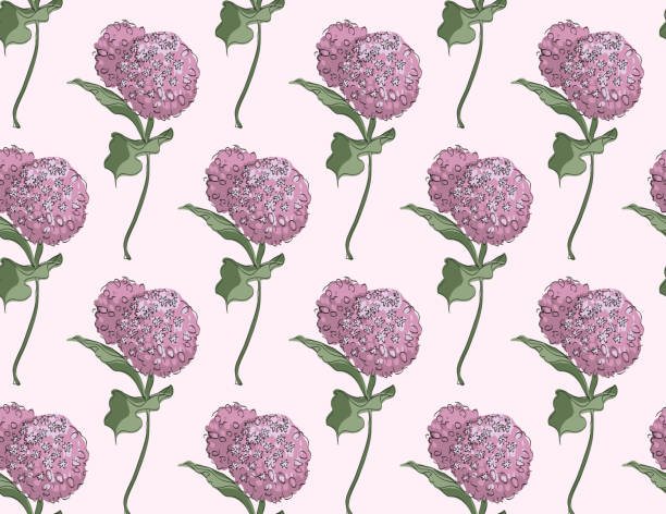 illustrazioni stock, clip art, cartoni animati e icone di tendenza di design floreale vettoriale con asclepias syriaca in fiore su sfondo rosa pallido - wedding frame silk backgrounds