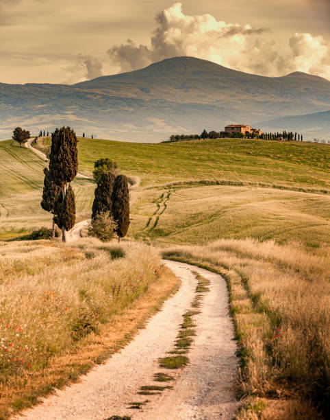istock Sunny landscape from Val d'Orcia, Tuscany, Italy 1218768490