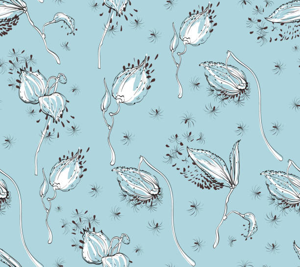 illustrazioni stock, clip art, cartoni animati e icone di tendenza di motivo senza cuciture vector design floreale con asclepias syriaca su sfondo blu pallido - wedding frame silk backgrounds