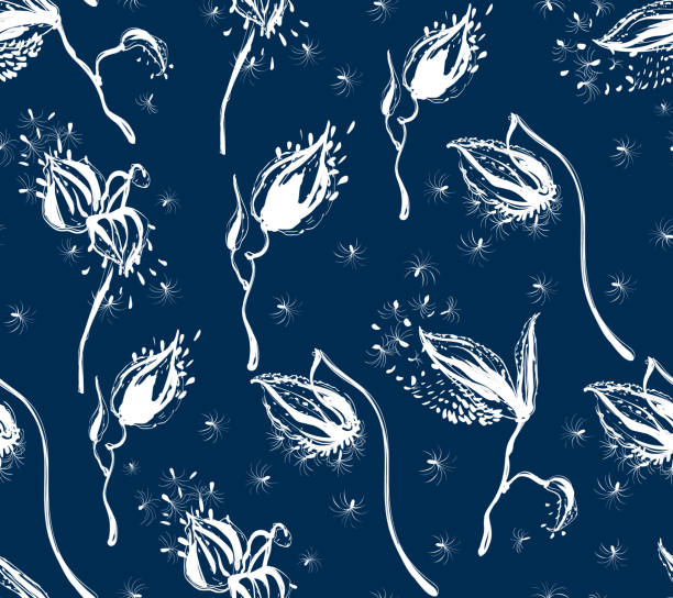 illustrazioni stock, clip art, cartoni animati e icone di tendenza di design floreale vettoriale con silhouette asclepias syriaca su sfondo blu scuro - wedding frame silk backgrounds