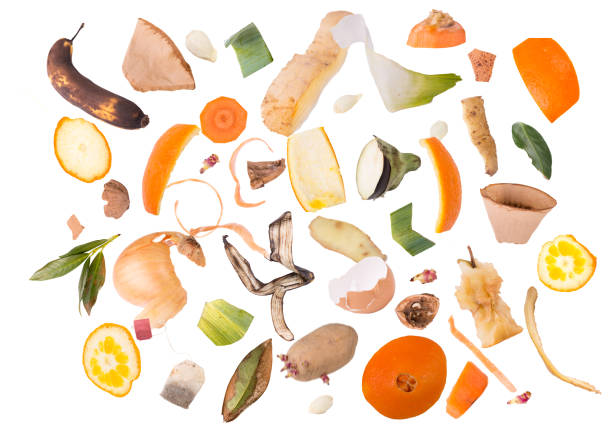 resto biologico di frutta e verdura tutto per il compost - carrot vegetable isolated organic foto e immagini stock