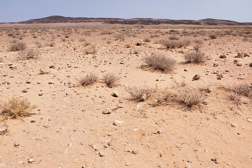Photo of a desert landscape in Namíbia.