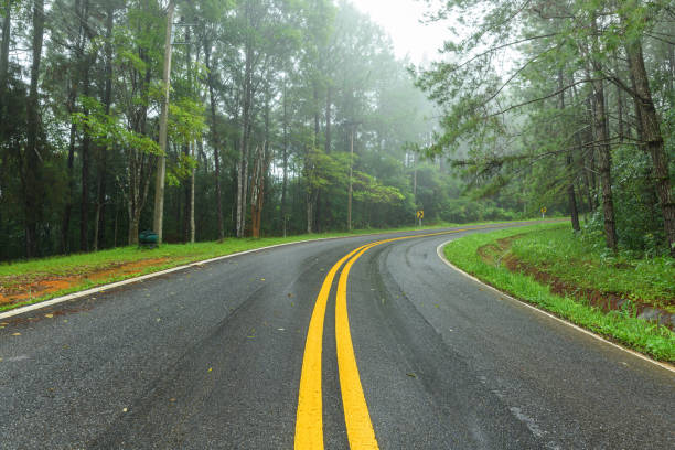 istock Asphalt road through the forest in rainy season 1218771027