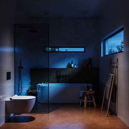 3D rendering of a bathroom during night. Computer generated image of a modern bathroom interior with toilet and bathtub.
