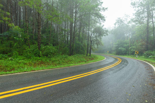 Asphalt road through the forest in rainy season