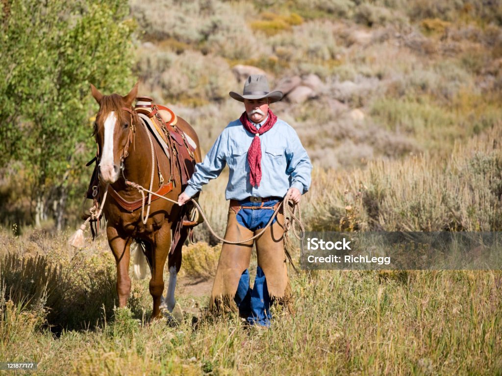 Kowboj chodzić z jego Horse - Zbiór zdjęć royalty-free (Białe włosy)