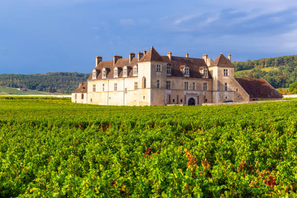 view of vougeot castle  in burgundy, france. - vinery imagens e fotografias de stock