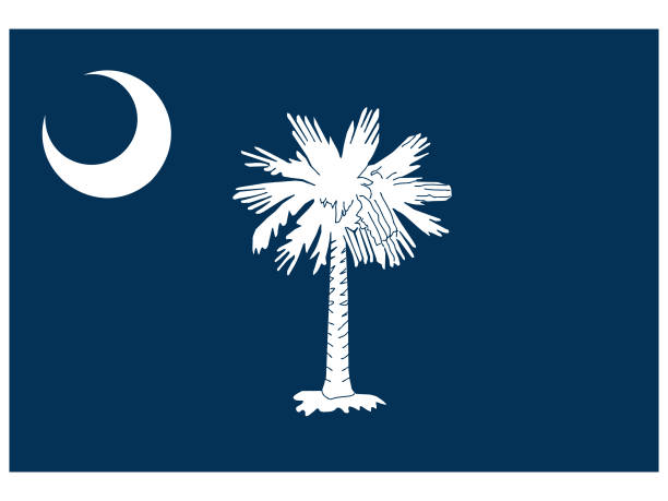 güney carolina eyaleti bayrağı - south carolina stock illustrations