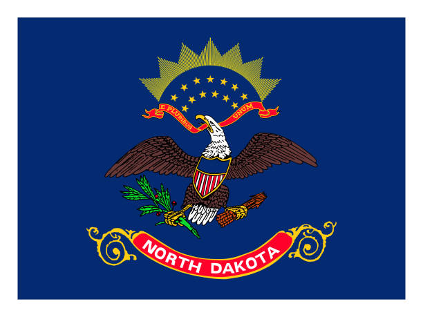 флаг штата северная дакота - north dakota flag us state flag north dakota flag stock illustrations