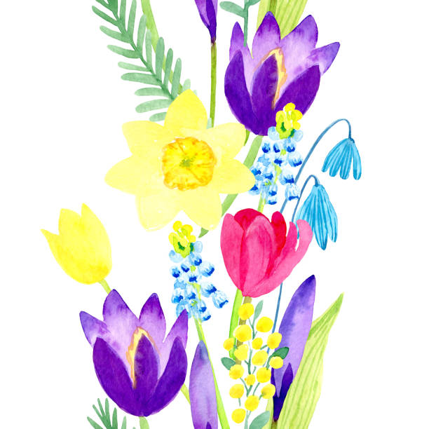 illustrations, cliparts, dessins animés et icônes de bordure de fleur sans couture d’aquarelle, fleurs de source - daffodil bouquet isolated on white petal