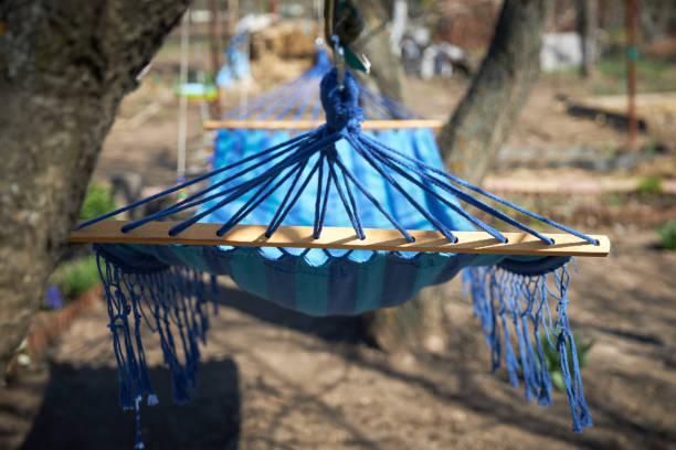 Blue striped hammock is hanging between trees in the garden