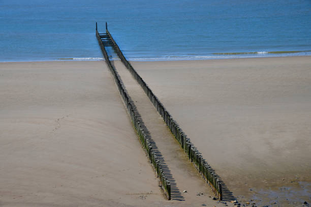 High angle view of two parallel rows of the typical wooden breakwaters on the sandy beach of the city of Westkapelle in the Netherlands ending in the sea
