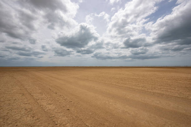 istock Desert in La Guajira 1218777404