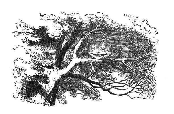 Alice in Wonderland Antique illustration - Cheshire Cat on a branch in a tree From Alice's Adventures in Wonderland by Lewis Carroll 1897 john tenniel stock illustrations