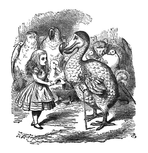 ilustrações, clipart, desenhos animados e ícones de alice no país das maravilhas ilustração antiga - alice falando com o pássaro dodo - 1897