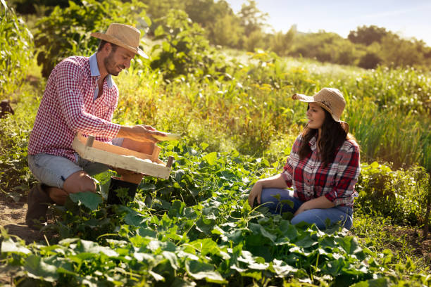 istock Farmer team on vegetable garden 1218780925