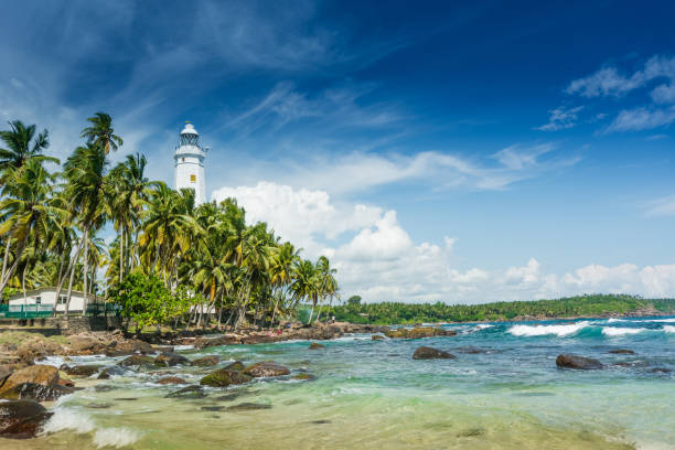 istock Beautiful beach landscape in Sri Lanka 1218782130