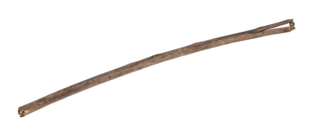 istock ancient wooden staff for walking isolated on white background 1218784790