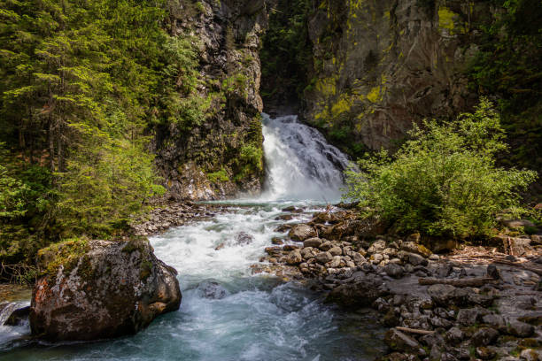 cachoeira reinbach, south tyrol, itália - riva degli schiavoni - fotografias e filmes do acervo