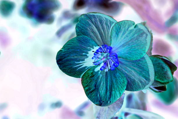 Flores Verde Menta - Banco de fotos e imágenes de stock - iStock Flores Verde Menta - Banco de fotos e imágenes de stock - iStock