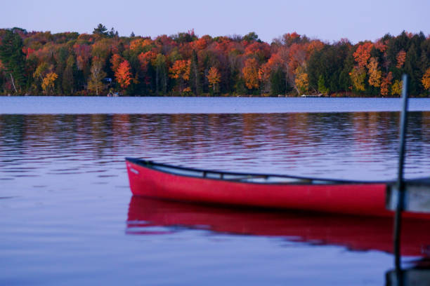 istock Canoe and Dock on a Misty Morning 1218797983