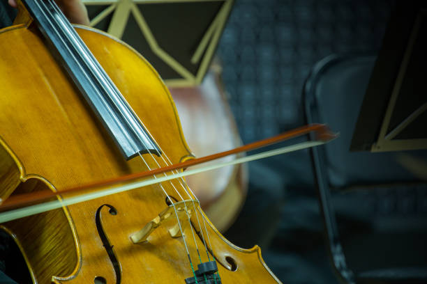 istock Cello musicians are rehearsing for a performance. 1218799346