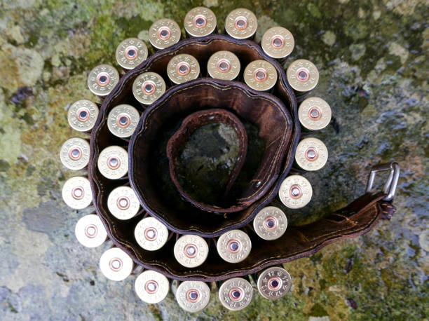 mirando hacia abajo un cinturón de cartucho de escopeta enrollado - bullet belt ammunition cartridge fotografías e imágenes de stock