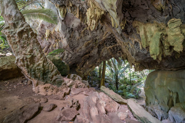 hup pa tat, höhle und wald das central valley uthai thani unseen in thailand - 16243 stock-fotos und bilder