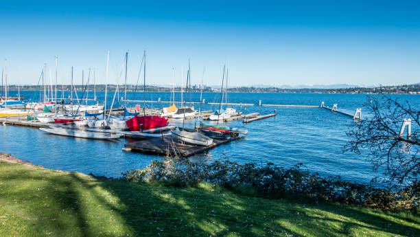 istock Boats Along The Shore 1218802335