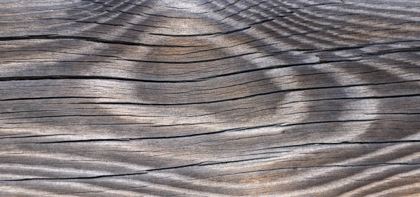 istock Dark wooden background texture. Old fence panels with natural patterns. 1218802926