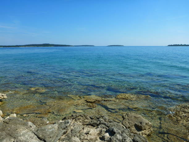 istock Brijuni islands, Istria, Croatia 1218809085