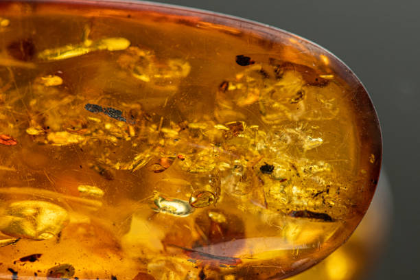 istock Polished Baltic Sea amber macro shot 1218810604