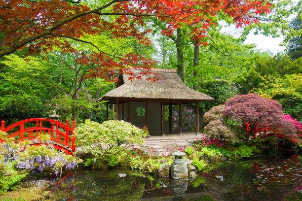 istock amazing view on authentical japanese pavilion in the Hague 1218810634