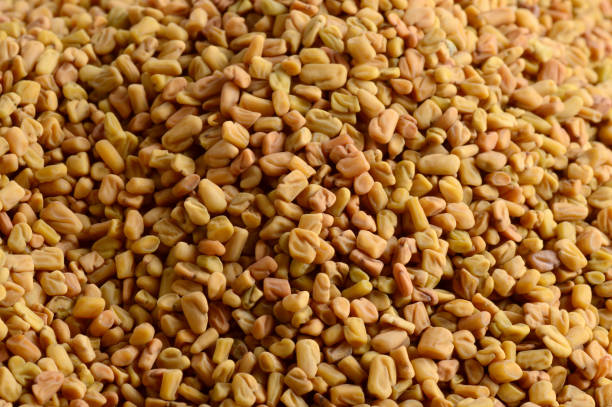 istock Fenugreek seeds as background. Close up texture 1218812112