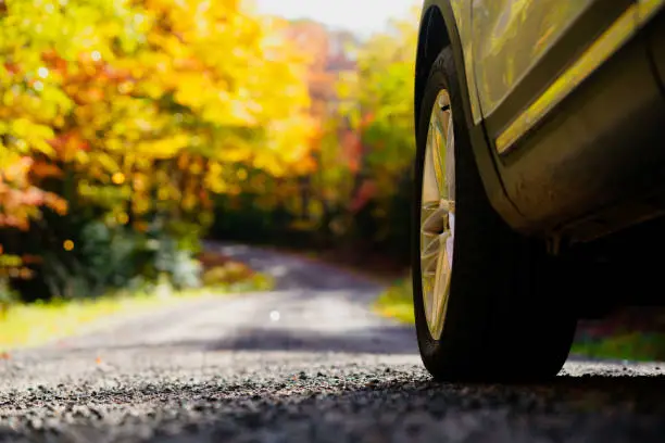 Photo of CLOSE UP: Detail of SUV car tyre driving on empty forest road in sunny autumn