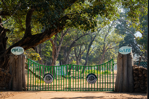 main entrance gate of tala zone locked and closed for safari and tourist at bandhavgarh national park or tiger reserve, madhya pradesh, india